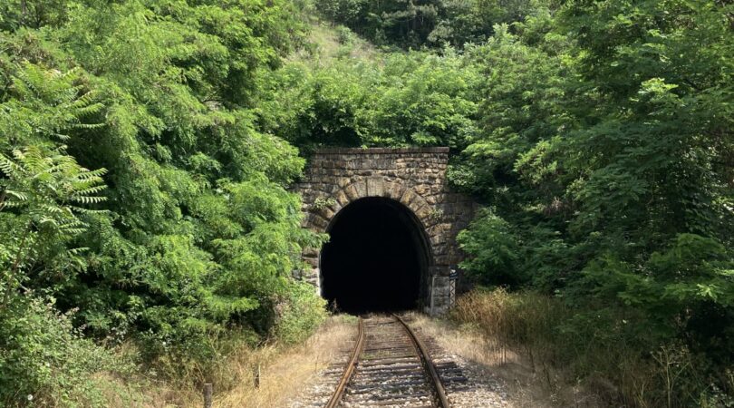 20220622_093505019_iOS