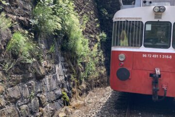 20220622_111811783_iOS