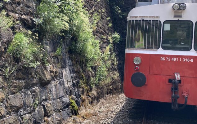 20220622_111811783_iOS