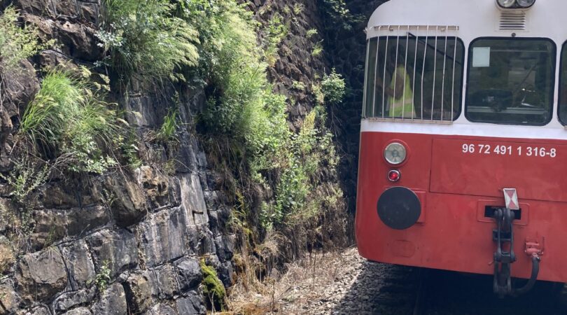 20220622_111811783_iOS