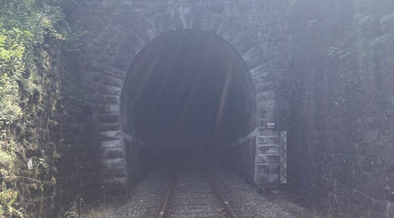 20220622_124819502_iOS